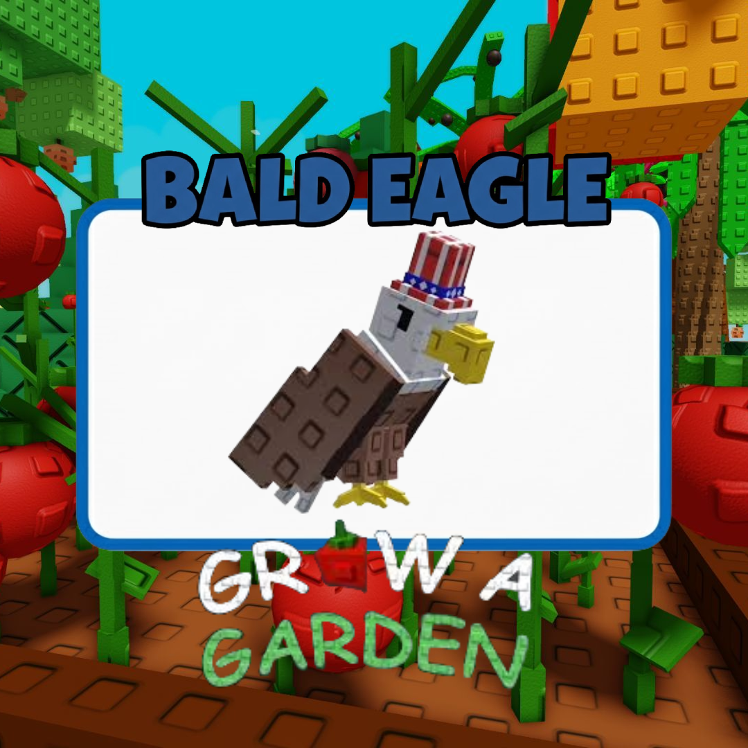 Bald Eagle