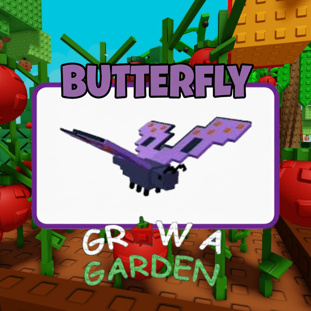 Butterfly