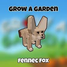 Fennec Fox