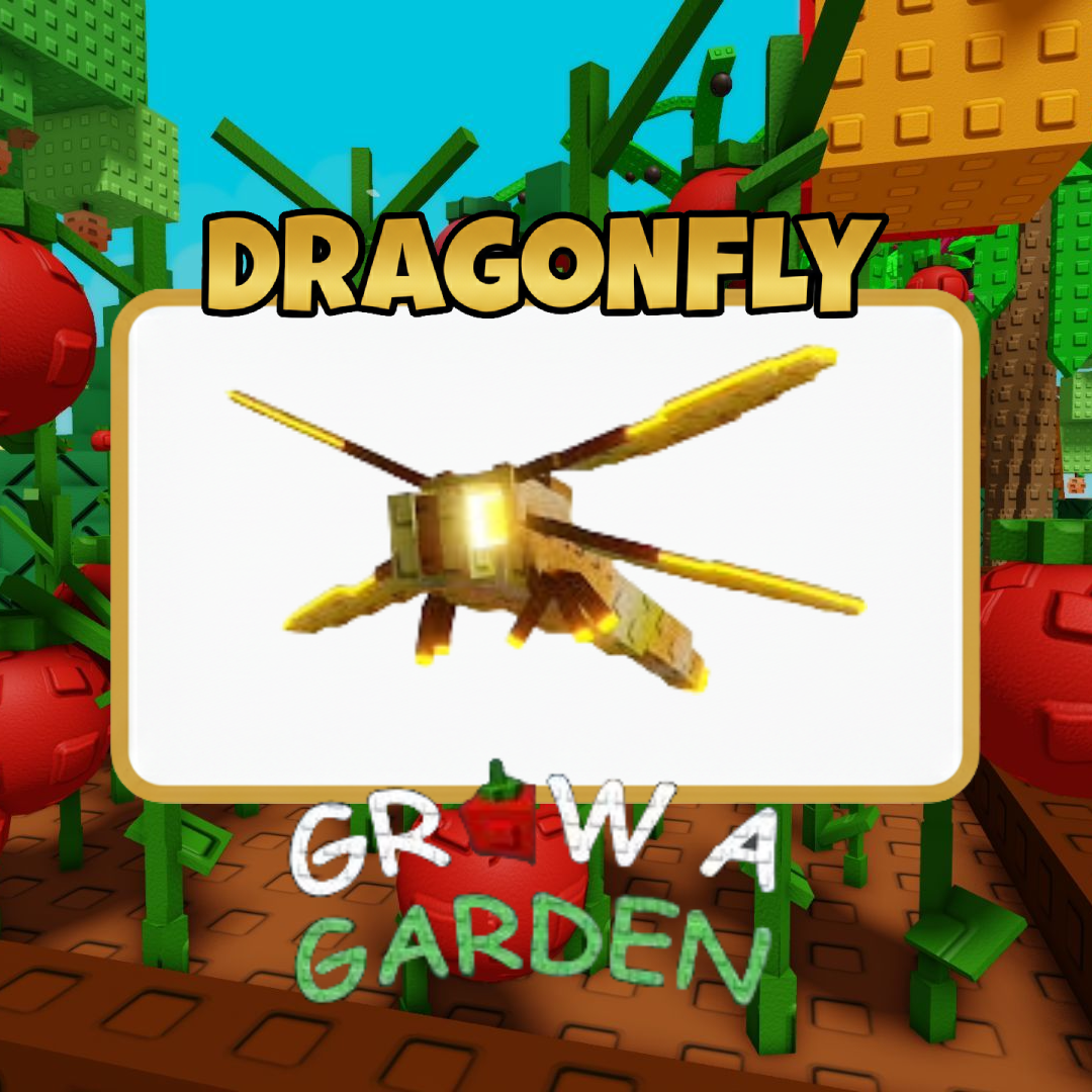dragonfly